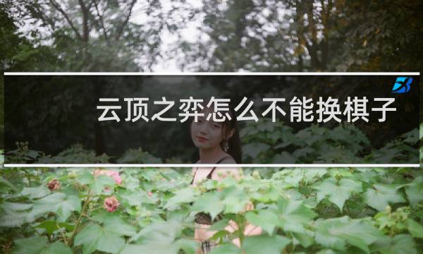 云顶之弈怎么不能换棋子