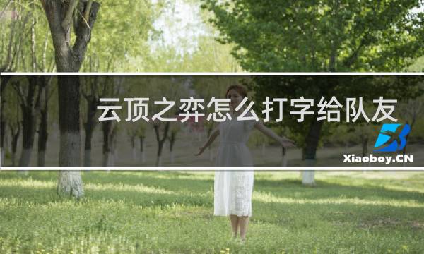 云顶之弈怎么打字给队友