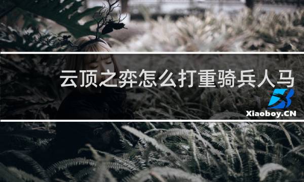 云顶之弈怎么打重骑兵人马