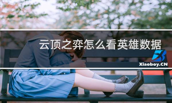 云顶之弈怎么看英雄数据