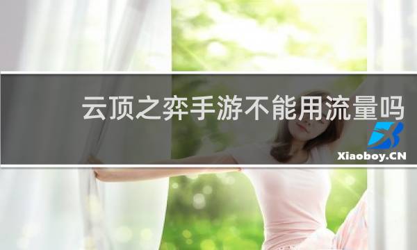 云顶之弈手游不能用流量吗