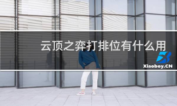 云顶之弈打排位有什么用