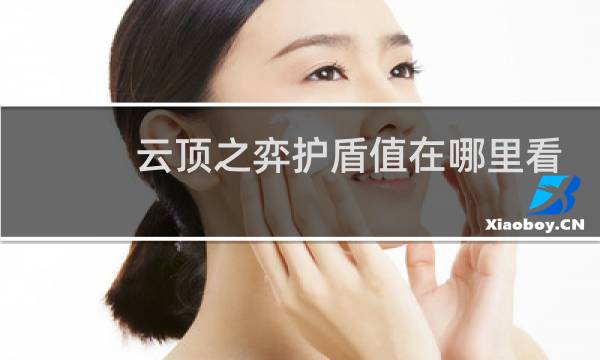 云顶之弈护盾值在哪里看