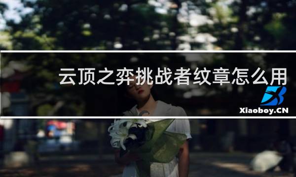 云顶之弈挑战者纹章怎么用