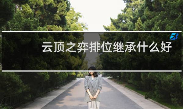 云顶之弈排位继承什么好