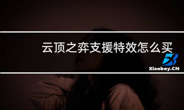 云顶之弈支援特效怎么买