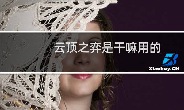 云顶之弈是干嘛用的
