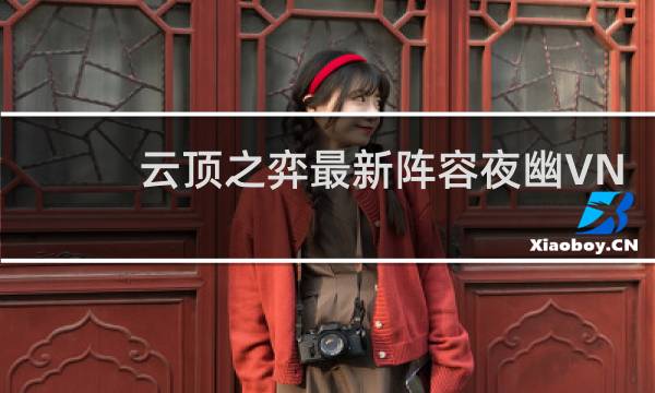 云顶之弈最新阵容夜幽VN