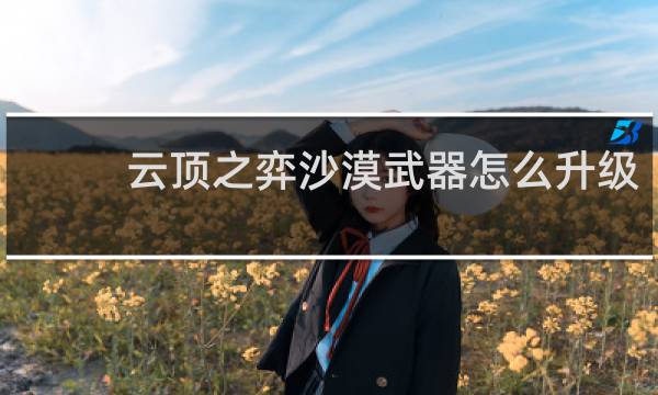 云顶之弈沙漠武器怎么升级