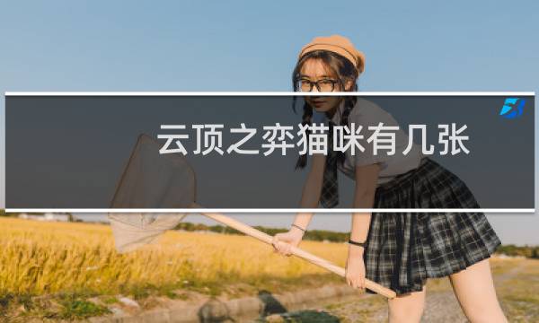 云顶之弈猫咪有几张