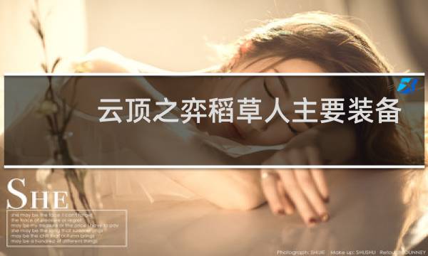云顶之弈稻草人主要装备