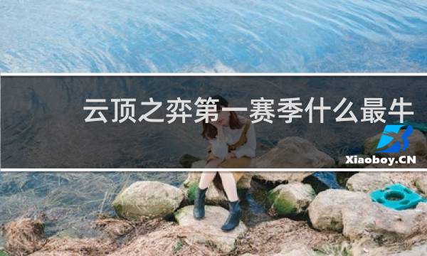 云顶之弈第一赛季什么最牛