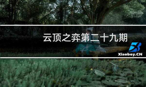 云顶之弈第二十九期