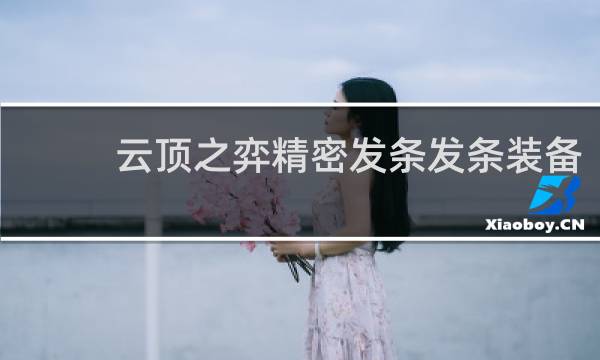 云顶之弈精密发条发条装备