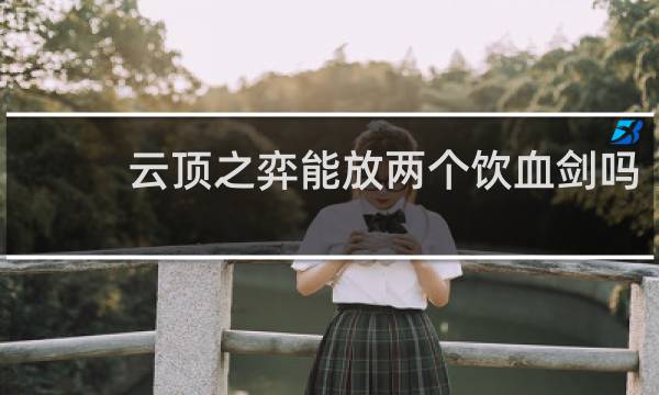 云顶之弈能放两个饮血剑吗