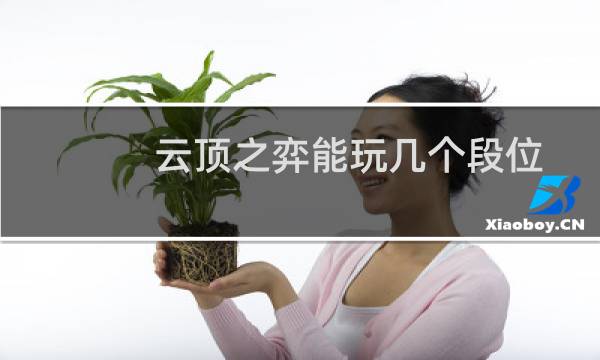 云顶之弈能玩几个段位