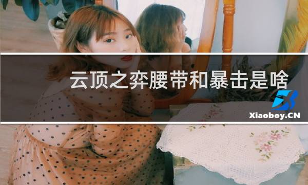 云顶之弈腰带和暴击是啥