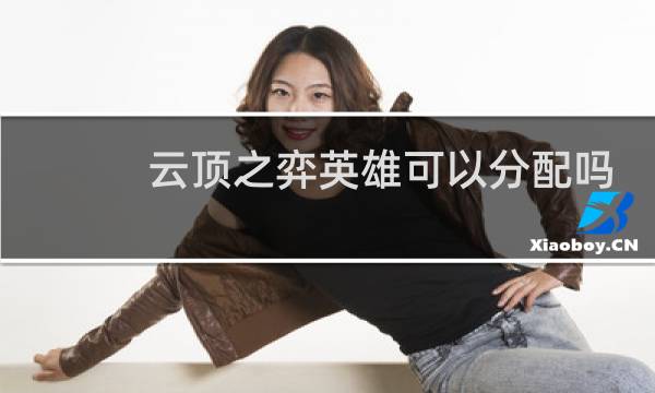 云顶之弈英雄可以分配吗