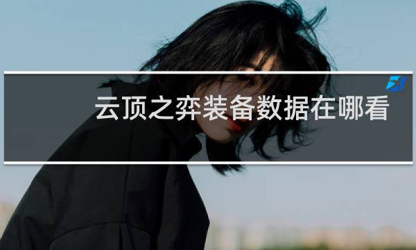 云顶之弈装备数据在哪看