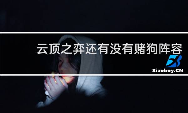 云顶之弈还有没有赌狗阵容