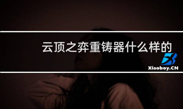 云顶之弈重铸器什么样的