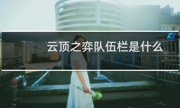 云顶之弈队伍栏是什么