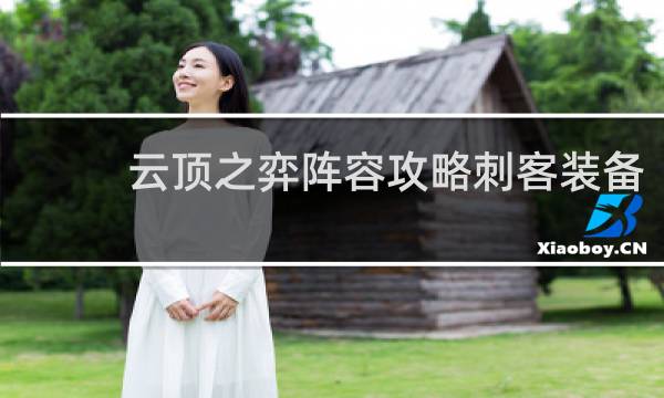 云顶之弈阵容攻略刺客装备