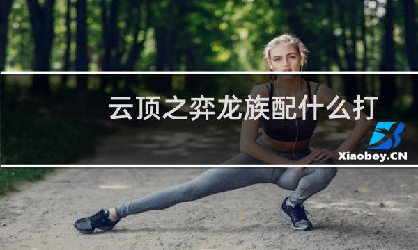 云顶之弈龙族配什么打