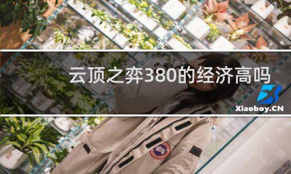 云顶之弈380的经济高吗