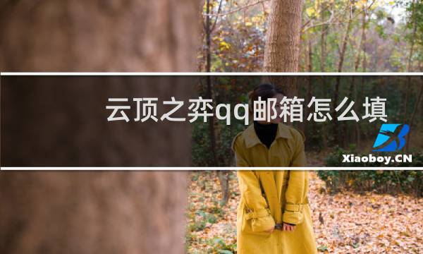 云顶之弈qq邮箱怎么填