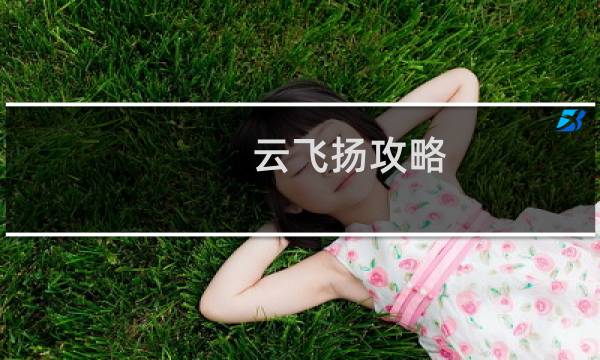 云飞扬攻略