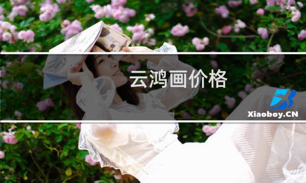 云鸿画价格