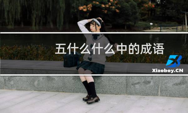 五什么什么中的成语