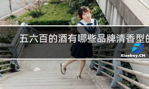 五六百的酒有哪些品牌清香型的
