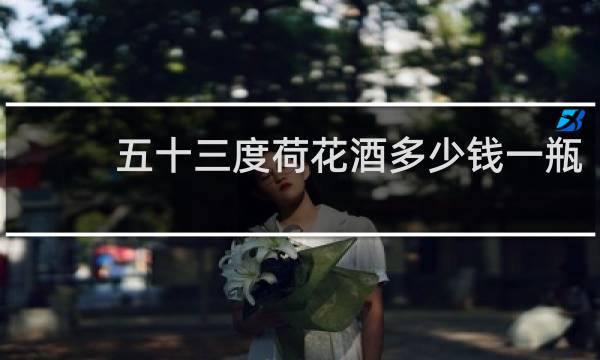 五十三度荷花酒多少钱一瓶