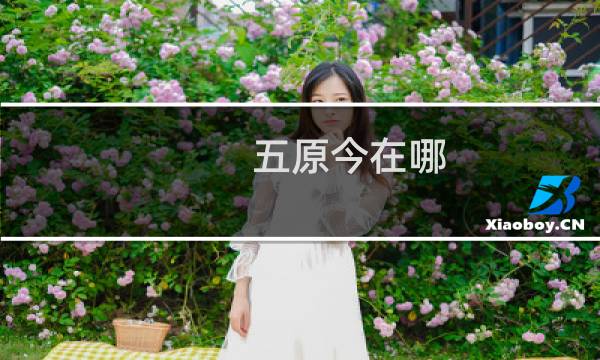 五原今在哪