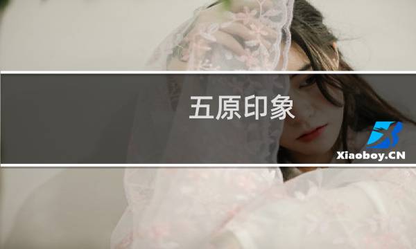 五原印象 美食在哪