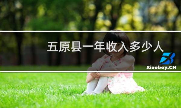 五原县一年收入多少人