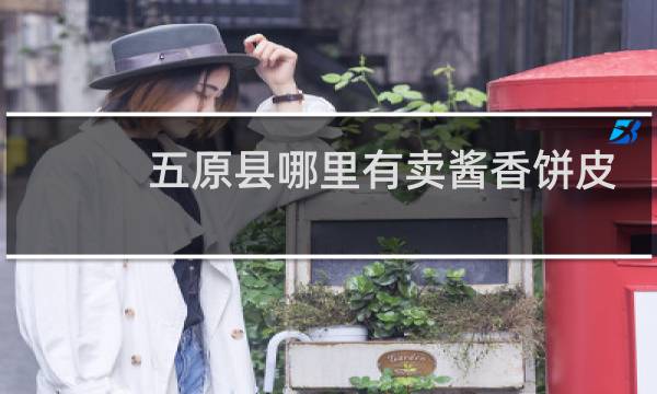 五原县哪里有卖酱香饼皮