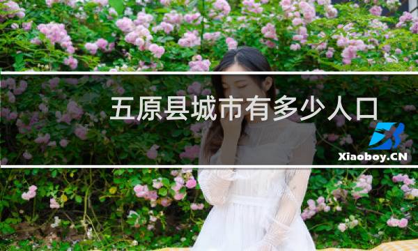 五原县城市有多少人口