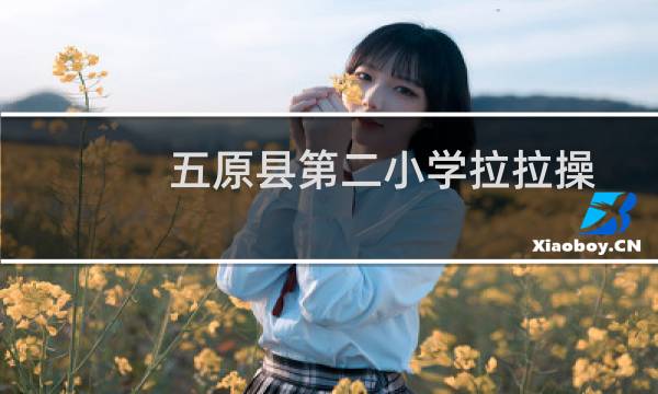 五原县第二小学拉拉操