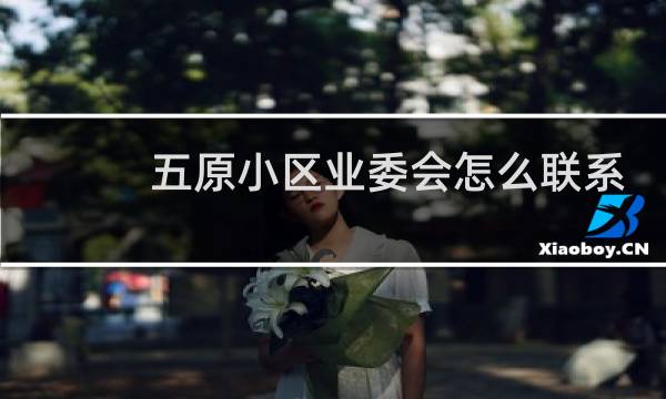 五原小区业委会怎么联系