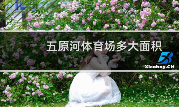 五原河体育场多大面积