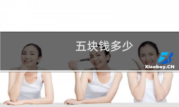 五块钱多少