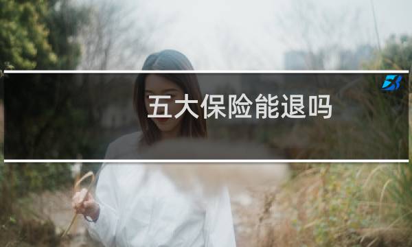 五大保险能退吗