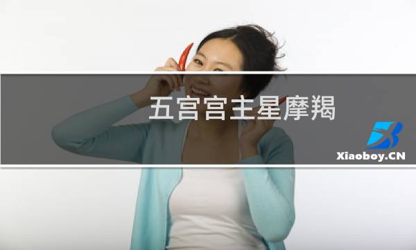 五宫宫主星摩羯