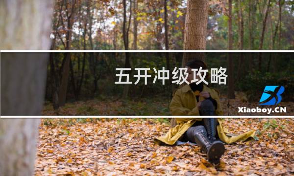 五开冲级攻略