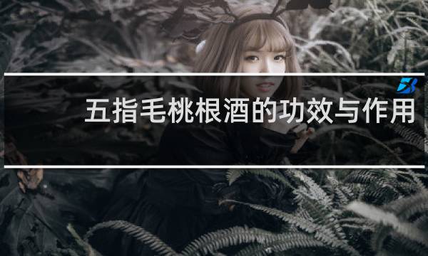 五指毛桃根酒的功效与作用