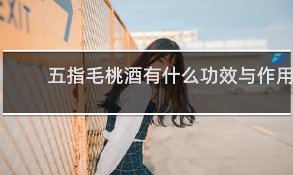五指毛桃酒有什么功效与作用