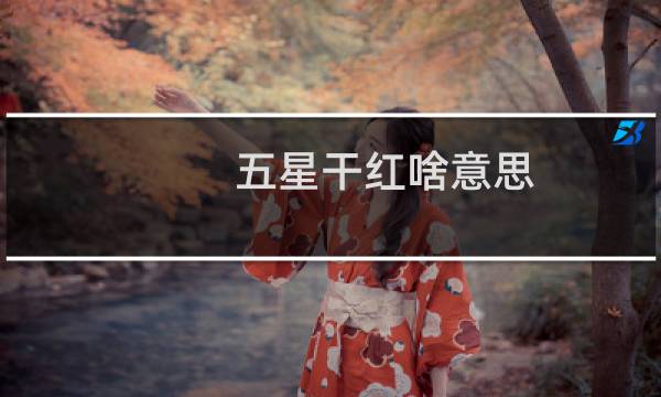 五星干红啥意思